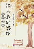 紅杏樹下貓與我的恩怨在線閱讀