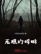 无根的蜉蝣在线阅读