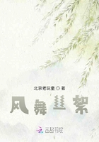 風舞絲絮在線閱讀