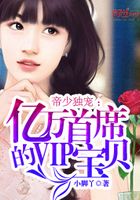 帝少独宠：亿万首席的vip宝贝
