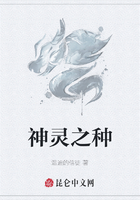 神灵之种在线阅读