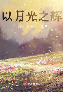 以月光之辉