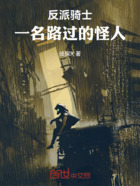 反派骑士：一名路过的怪人在线阅读