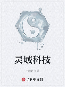 靈域科技
