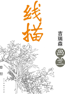 線描·吉瑞森畫蘭