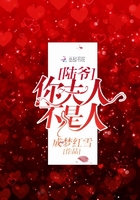 陸爺，你夫人不是人！在線閱讀