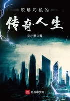 职场司机的传奇人生