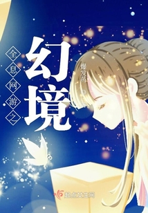 全息網游之幻境