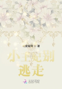 小王妃别逃走