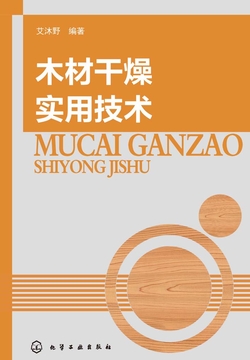 木材干燥实用技术 封面