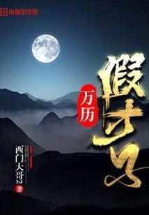萬(wàn)歷假才子