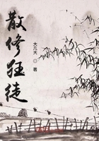 散修狂徒在线阅读