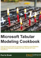 Microsoft Tabular Modeling Cookbook在线阅读