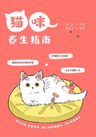 猫咪养生指南