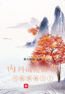 内丹破损的我只能靠魅力了