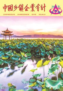中國(guó)鄉(xiāng)鎮(zhèn)企業(yè)會(huì)計(jì)(2021年第7期)