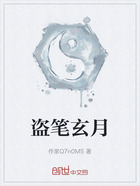 盗笔玄月在线阅读