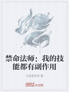 禁命法师:我的技能都有副作用在线阅读