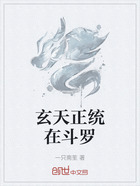 玄天正统在斗罗在线阅读