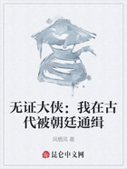 無(wú)證大俠：我在古代被朝廷通緝?cè)诰€閱讀
