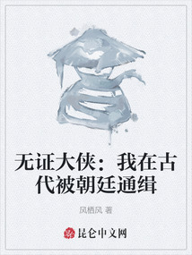 無證大俠：我在古代被朝廷通緝