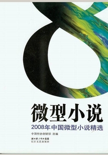 2008年中國微型小說精選