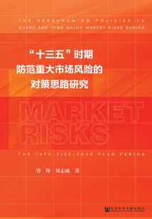 “十三五”時期防范重大市場風險的對策思路研究