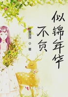 不負似錦年華在線閱讀