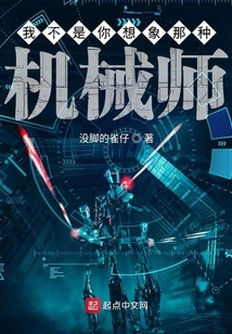 我不是你想象那种机械师