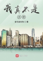 我真不是大廚在線閱讀