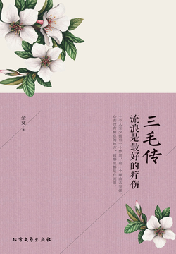 三毛传：流浪是最好的疗伤 封面