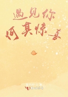 遇見你何其驚喜在線閱讀