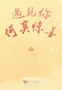 遇見(jiàn)你何其驚喜