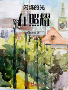 闪烁的光在照耀！在线阅读