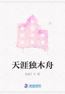 天涯獨木舟