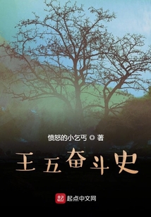 王五奮斗史