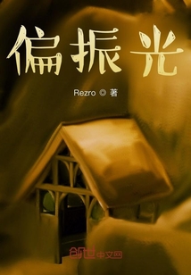 偏振光下的人生