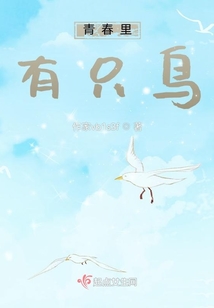 青春里有只鳥