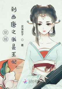 穿越到西唐之我是王妃