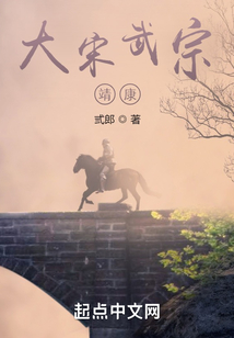 大宋武宗：靖康