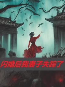 閃婚后我妻子失蹤了