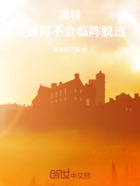 奥特:英雄可不会临阵脱逃在线阅读