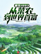 重生1993:从菜农到世界首富在线阅读