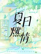 夏日燃情在线阅读