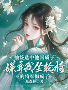 抽签选中他国质子,嫌弃我坐轮椅的将军悔疯了在线阅读