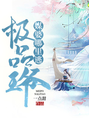 极品王爷：媒婆，哪里逃在线阅读