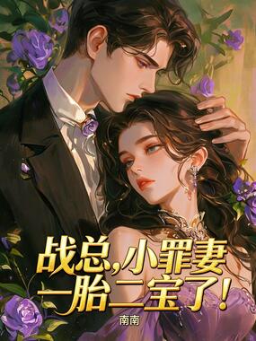 战总，小罪妻一胎二宝了在线阅读