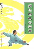 简化杨式太极拳