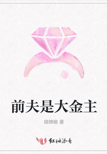 前夫是大金主