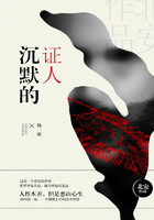 沉默的证人在线阅读